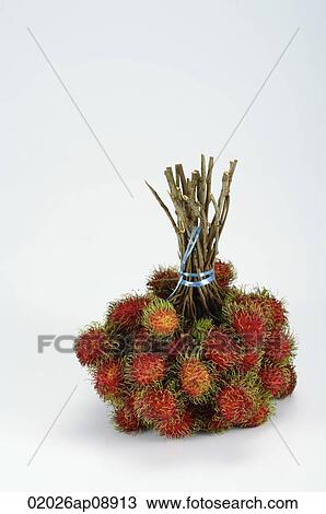 Stock Image - Rambutan. Fotosearch