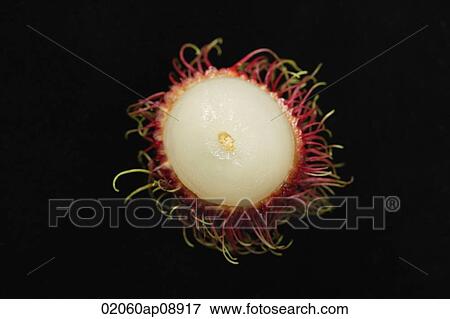 Rambutan View Large Photo Image Stock Photo - Rambutan. Fotosearch