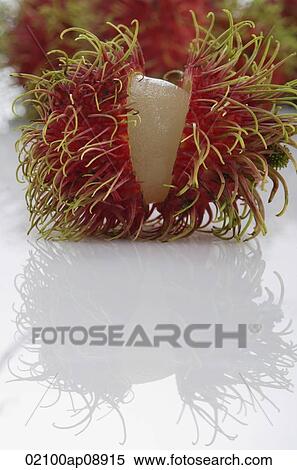 Rambutan View Large Photo Image Stock Photography - Rambutan. Fotosearch