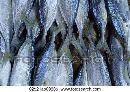 Stock Photography - Fish at market. Fotosearch