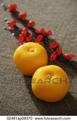 Still life of pair of mandarin oranges View Large Photo Image Stock Image - Still life of pair of mandarin oranges. Fotosearch
