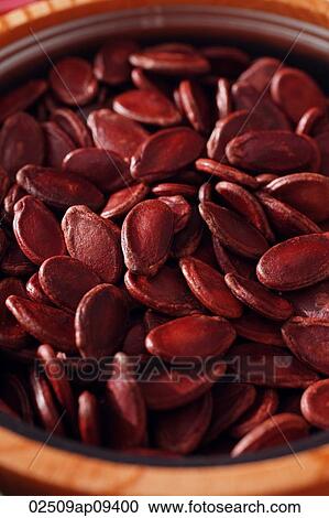Still life of red melon seeds View Large Photo Image Stock Image - Still life of red melon seeds. Fotosearch