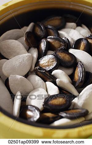 Still life of white and black melon seeds View Large Photo Image Stock Photo - Still life of white and black melon seeds. Fotosearch