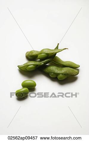 multiple green edamame beans with pea pod broken View Large Photo Image Stock Photo - multiple green edamame beans with pea pod broken. Fotosearch