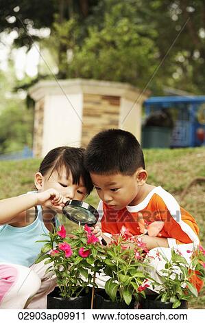 girl and boy looking at flowers with magnifying glass View Large Photo Image Stock Image - girl and boy looking at flowers with magnifying glass. Fotosearch