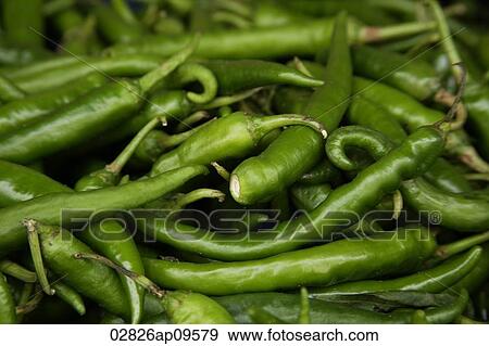 Stock Photo - Green chilies. Fotosearch