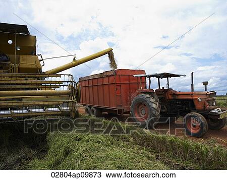 Stock Image - rice harvesting machines. Fotosearch