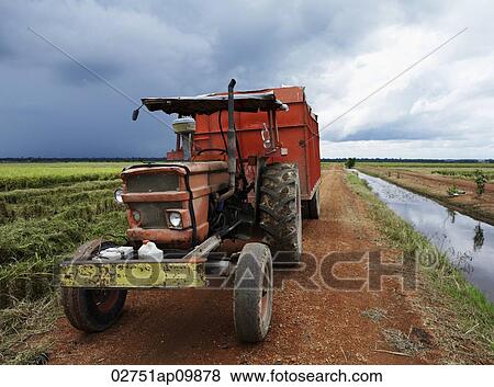 Stock Photo - rice pickup truck on field. Fotosearch