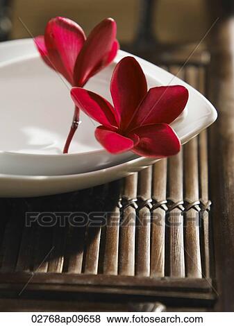two red flowers placed on a white dish View Large Photo Image Stock Photo - two red flowers placed on a white dish. Fotosearch