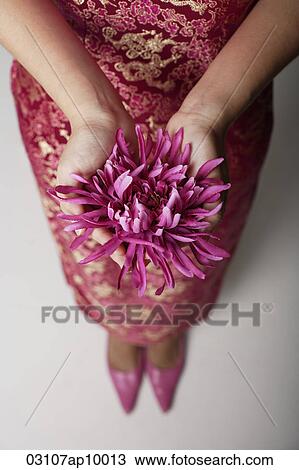 close up of woman wearing pink cheongsam holding purple flower View Large Photo Image Stock Image - close up of woman wearing pink cheongsam holding purple flower. Fotosearch