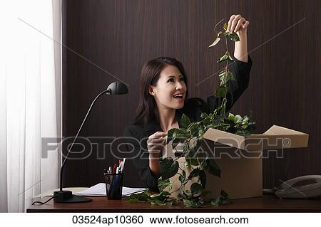 Young woman sitting at desk pulling a plant out of a box View Large Photo Image Stock Image - Young woman sitting at desk pulling a plant out of a box. Fotosearch