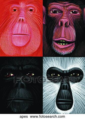 Apes View Large Illustration Stock Illustration - Apes. Fotosearch