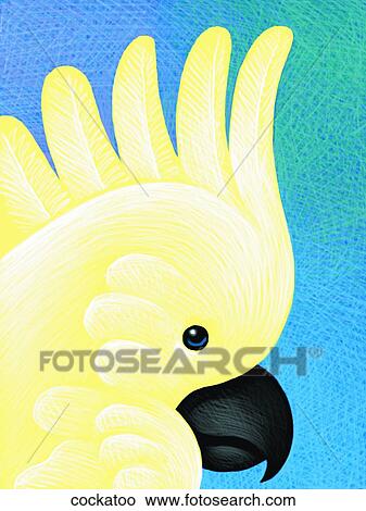 Stock Illustration - Cockatoo. Fotosearch