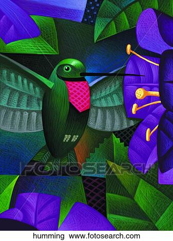 Hummingbird View Large Illustration Drawing - Hummingbird. Fotosearch