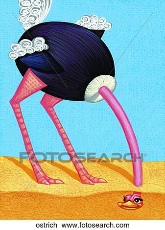 Drawing - Ostrich. Fotosearch