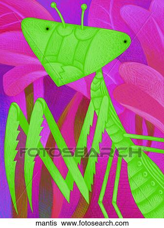 Praying Mantis View Large Illustration Stock Illustration - Praying Mantis. Fotosearch