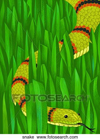 Snake View Large Illustration Clip Art - Snake. Fotosearch