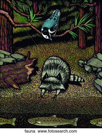 Clipart - Fauna. Fotosearch