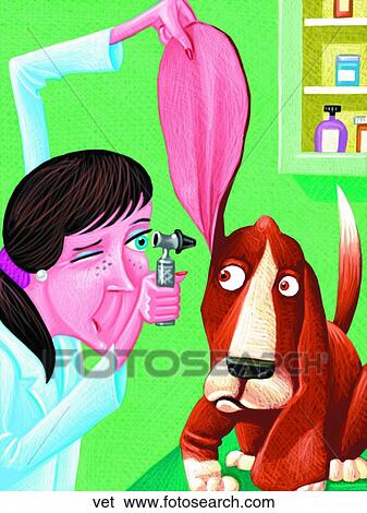 Vet View Large Illustration Stock Illustration - Vet. Fotosearch