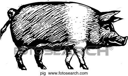 豚 クリップアート 切り張り イラスト 絵画 集 Pig Fotosearch