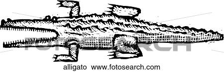 Alligator View Large Clip Art Graphic Clipart - Alligator. Fotosearch