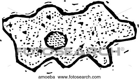 Amoeba View Large Clip Art Graphic Clipart - Amoeba. Fotosearch