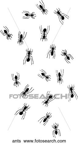 Clip Art - Ants. Fotosearch