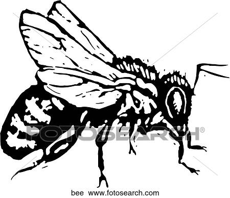 Bee View Large Clip Art Graphic Clipart - Bee. Fotosearch