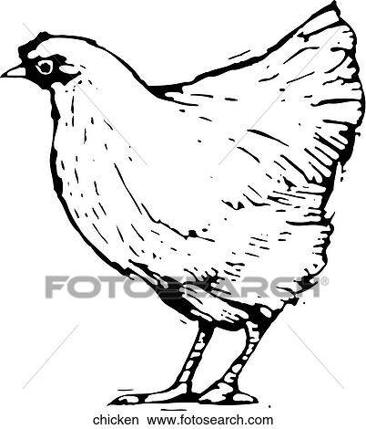 Clipart - Chicken. Fotosearch