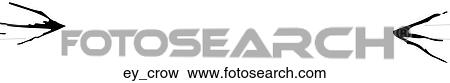 Clip Art - Crow's Feet. Fotosearch