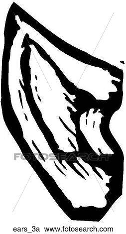 Clipart - Ears 3a. Fotosearch