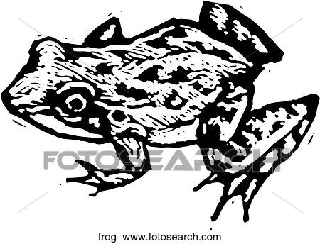Frog View Large Clip Art Graphic Clipart - Frog. Fotosearch