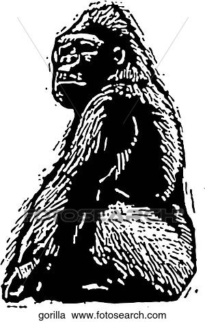 Gorilla View Large Clip Art Graphic Clipart - Gorilla. Fotosearch