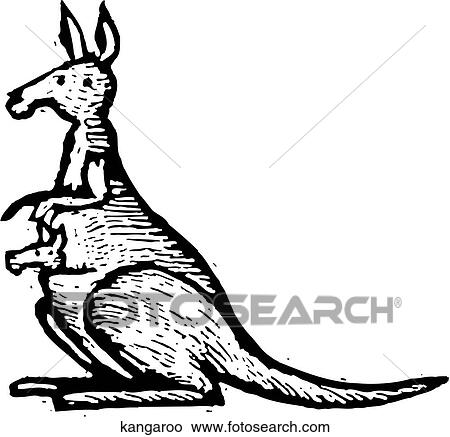 Clipart - Kangaroo. Fotosearch