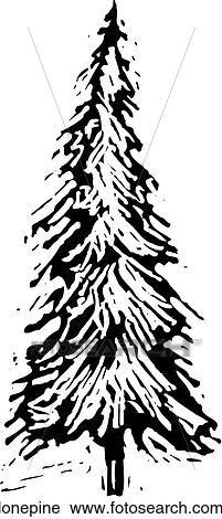 Lone Pine View Large Clip Art Graphic Clipart - Lone Pine. Fotosearch