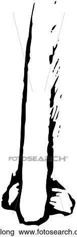 Long Nose View Large Clip Art Graphic Clipart - Long Nose. Fotosearch