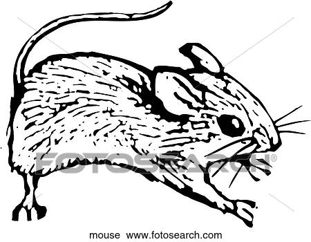 Mouse View Large Clip Art Graphic Clipart - Mouse. Fotosearch