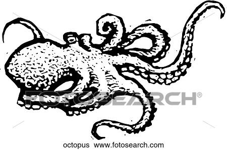 Octopus View Large Clip Art Graphic Clip Art - Octopus. Fotosearch