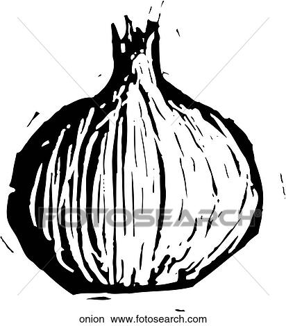 Clipart - Onion. Fotosearch