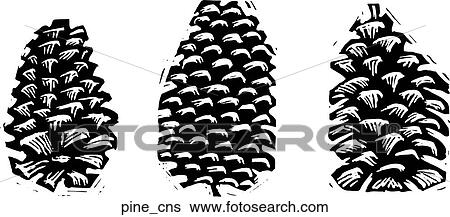 Clip Art - Pine Cones. Fotosearch