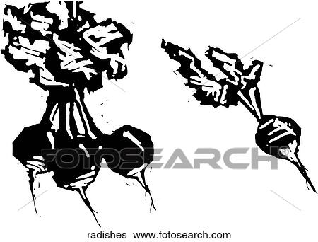 Radishes View Large Clip Art Graphic Clip Art - Radishes. Fotosearch