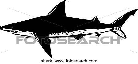 Shark View Large Clip Art Graphic Clipart - Shark. Fotosearch