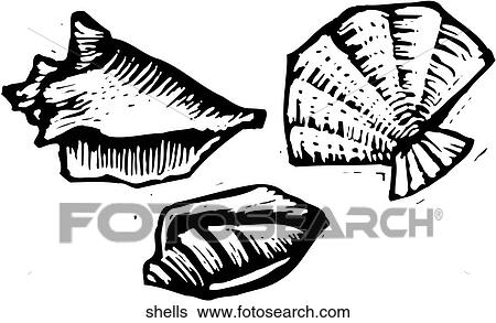 Shells View Large Clip Art Graphic Clip Art - Shells. Fotosearch