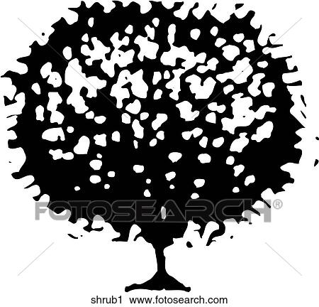 Clipart - Shrub 1. Fotosearch