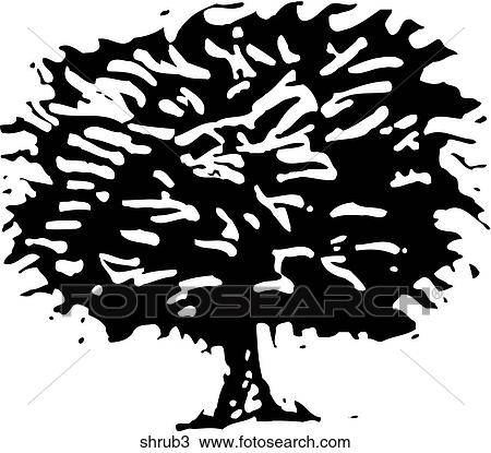Clipart - Shrub 3. Fotosearch