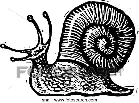 Snail View Large Clip Art Graphic Clipart - Snail. Fotosearch