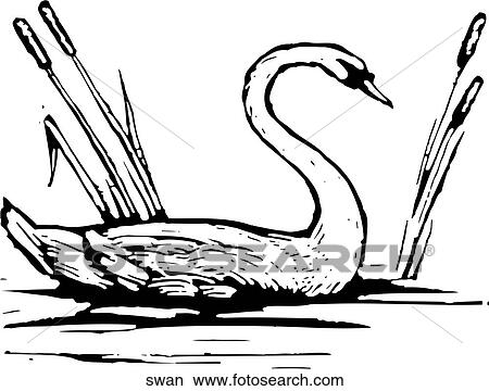 Swan View Large Clip Art Graphic Clipart - Swan. Fotosearch