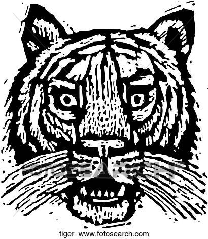 Tiger View Large Clip Art Graphic Clipart - Tiger. Fotosearch