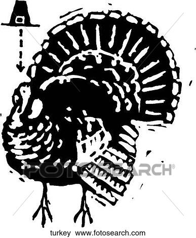 Turkey View Large Clip Art Graphic Clip Art - Turkey. Fotosearch