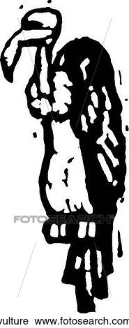 Clipart - Vulture. Fotosearch